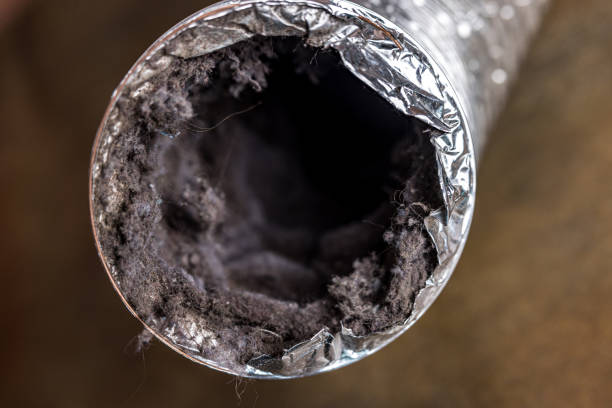 Best Professional Duct Cleaning Services  in Brookmont, MD