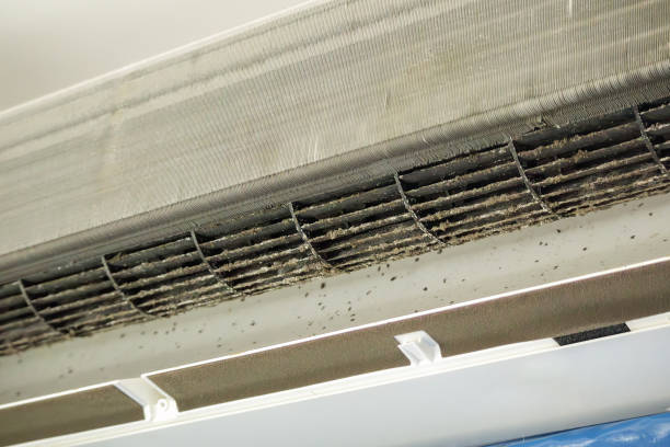 Best Air Duct Cleaning Near Me  in Brookmont, MD